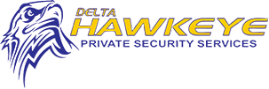 Delta Hawkeye Security